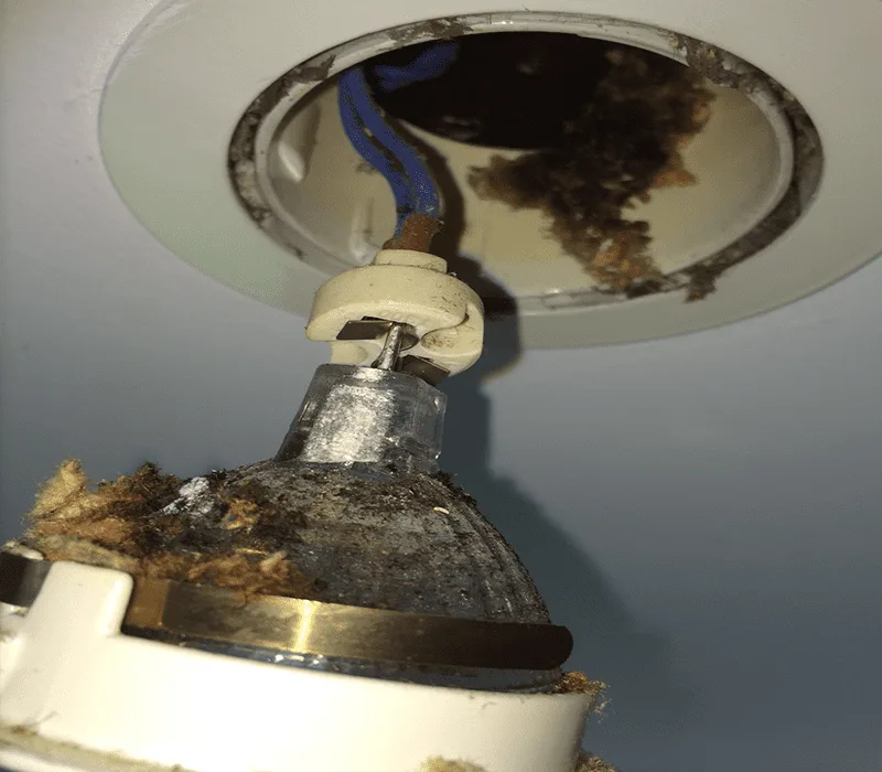 Incorrectly Installed and the Dangers of Halogen Downlights